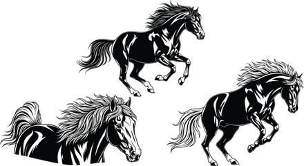 Galloping black horse silhouettes with flowing manes and tails in dynamic motion, powerful equine vector illustration set for equestrian sports design and wild animal graphics. © MstRupali