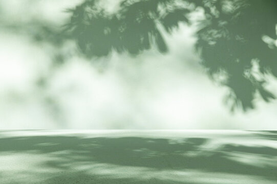 Minimalist Sage Green Interior Background, Aesthetic Room Scene with Organic Tree Leaf Shadows and Natural Sunlight Textures.
