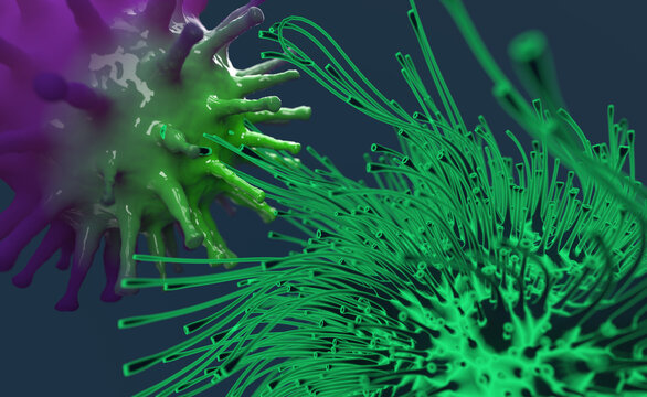 Viral infection and cell-borne virus transmission