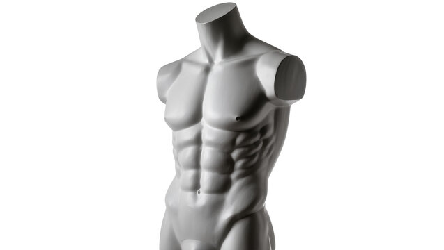 Gray male torso mannequin with defined abs, isolated on transparent background