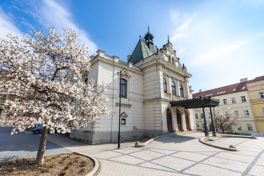 Mestske Divadlo in Prostejov town with blooming tree