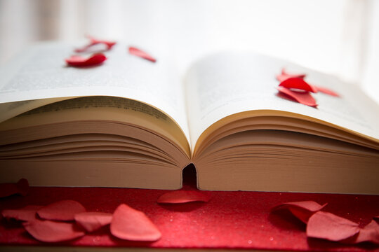 Libro aperto con sopra petali di rosa rossa