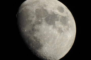 Luna © Steve Fossiant