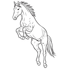 Obraz premium Dynamic Rearing Horse Line Art Illustration