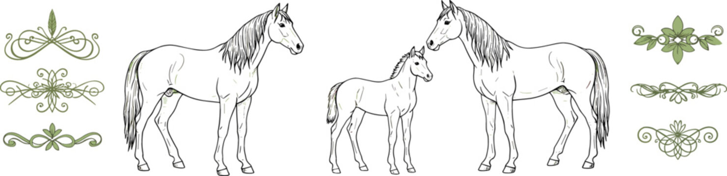 Vintage horse engraving vector illustration set with mare and foal farm animals and decorative ornamental flourishes