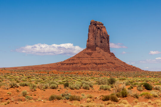 View of the iconic red sandstone butte rising from the desert floor surrounded by sparse green shrubs under a clear blue sky Oljato-Monument Valley, Arizona, United States.