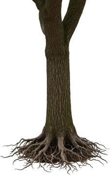 &aacute;rbol, naturaleza, bosque, verde, sucursal, madera, f&aacute;brica, cofres, primavera, aparcar, viejo, aislada, corteza, hojas, blanco, caf&eacute;, nativo, aumento, borla, raices