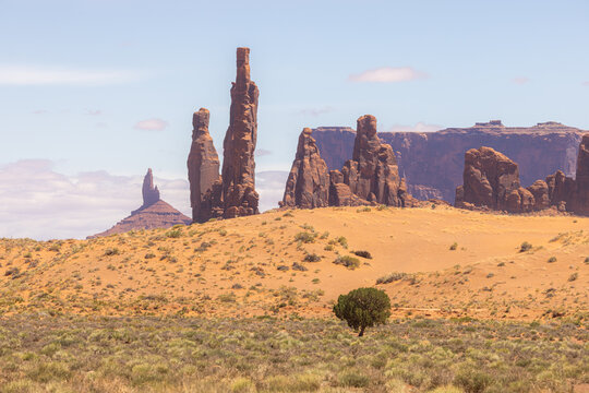 View of the iconic Totem Pole and Yei Bi Chei sandstone formations rising from the desert floor with a lone tree in the foreground Oljato-Monument Valley, Arizona, United States.