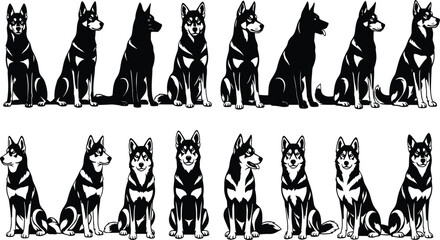 Dog silhouettes collection featuring husky breed in sitting and standing poses isolated on white background animal vector illustration set © Abu