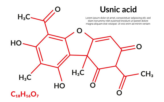 Usnic acid molecular structure formula, suitable for education or chemistry science content. Vector illustration