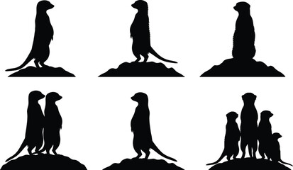Meerkat silhouettes, standing upright poses, alert posture, animal mound, group behavior, wildlife vector, nature illustration, zoological design composition © Abu