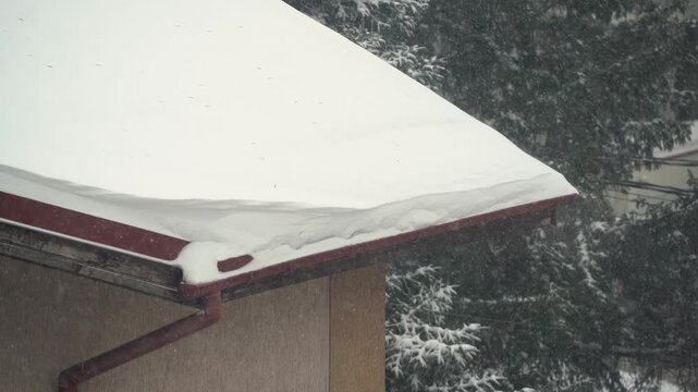 sleet. winter landscape with precipitation in the form of snow.