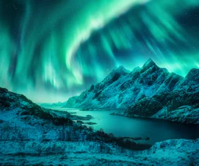 Aurora borealis over the snowy mountains, sea coast at night in Lofoten, Norway. Aurora borealis above snow covered rocks. Winter landscape with polar lights and fjord. Starry sky with bright aurora © den-belitsky