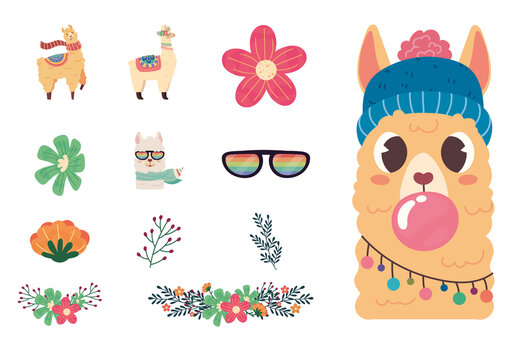 Cute Llama Floral Illustration Set