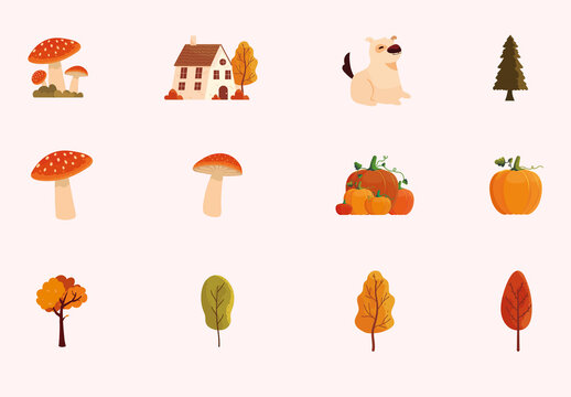 Autumn Harvest Nature Illustration Set