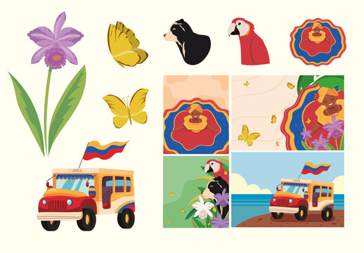 Colombian Tropical Wildlife Illustration Set