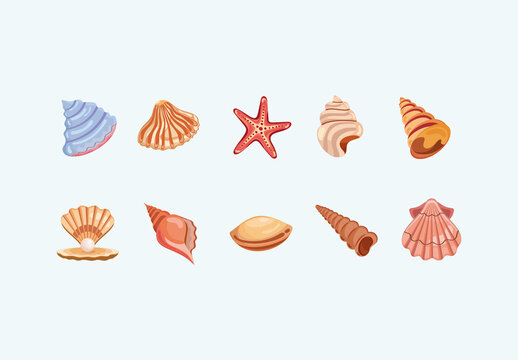 Sea Shells Illustration Set