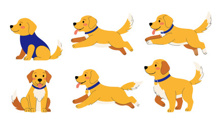 Fototapeta premium Golden Retriever Dog Poses Collection: Sitting, Running, Playing, Happy Pet