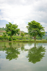 Fototapeta premium SonLa, North Vietnam, Asia