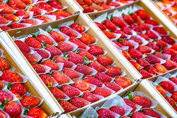 Fresh strawberries put out for sale in a grocery store