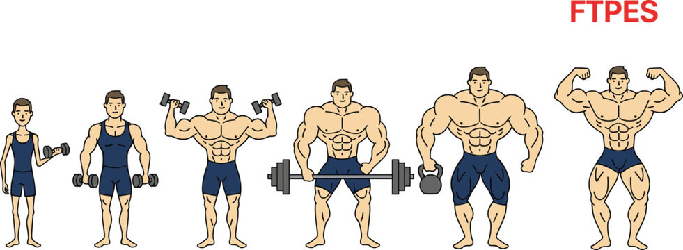 Vector illustration of male fitness transformation stages with progressive muscle growth and weightlifting