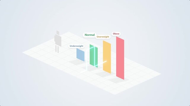 3D Isometric Body Mass Index Chart Animation with Morphing Figure and Kinetic Typography