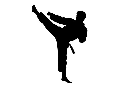 Black silhouette of martial artist performing a high side kick against a white background