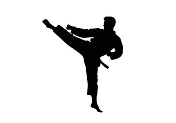 Obraz premium Black silhouette of a martial artist executing a high side kick against a white background