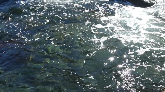 Black Sea, clear water near a rocky shore, stones on the seabed covered with algae.
