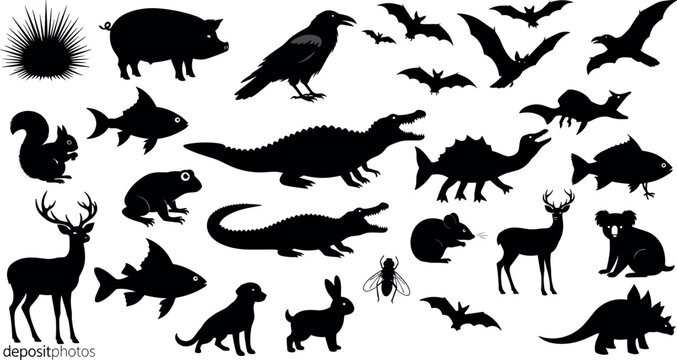 Wild Animal Silhouettes Set Forest Wildlife Birds Bats Reptiles Collection