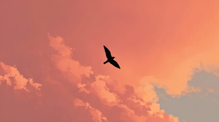 Fototapeta premium Single Bird in Flight Against a Warm Horizon Gradient