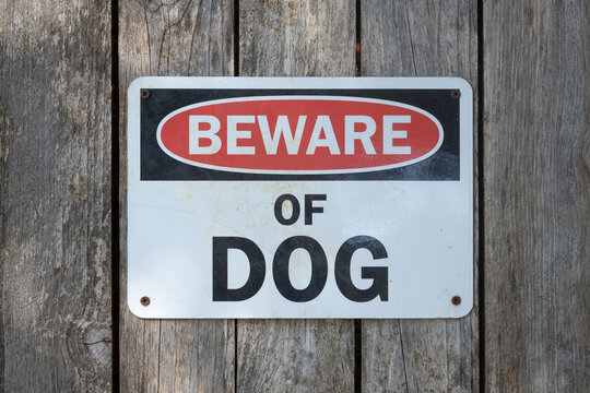 Image of beware of dog sign nailed to wooden backyard fence.