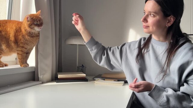 Girl brunette giving tasty treats to her domestic orange cat sitting near working desk at home. Spending time at home with pets, domestic life, work from home