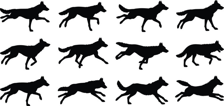 Dog running animation sequence silhouettes, collection of canine motion poses, walking, trotting, and sprinting frames, animal movement study for design, illustration, and motion reference