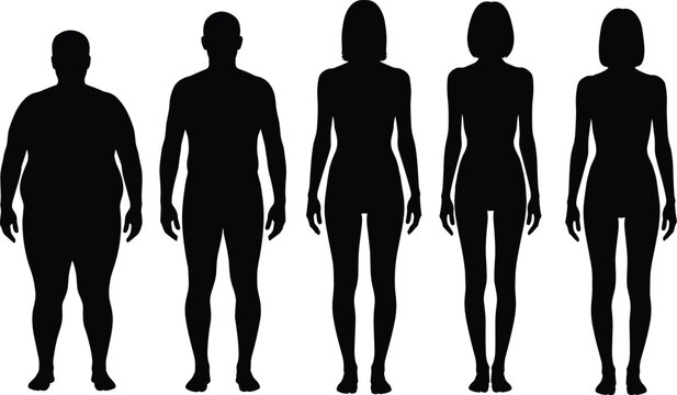 Human body silhouettes set showing male and female figures in different body types, anatomy reference for fitness, health, diversity, and medical illustration design