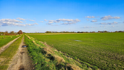 Dirt roads in countryside farmland grassland landscape. Meadow grass field during spring day, blue sky.  © Laura