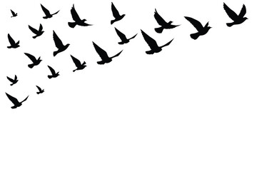 Fototapeta premium Flying birds silhouettes wallpaper pattern.