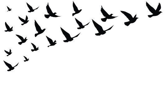 Flying birds silhouettes wallpaper pattern.