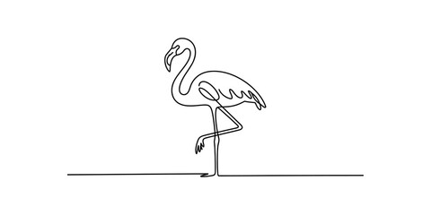 Minimalist continuous single line drawing of a flamingo standing on one leg on a white background Vector, illustration © Shreemoti