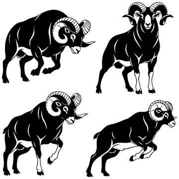 four black and white rams with horns vector illustration