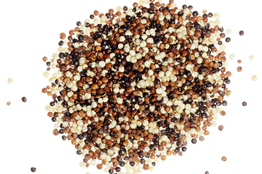 Quinoa,  Chenopodium quinoa L., K&ouml;rner,  Samen