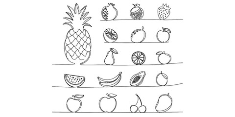 A collection of various fruits illustrated in a simple black and white continuous line drawing Vector, illustration © Bobita