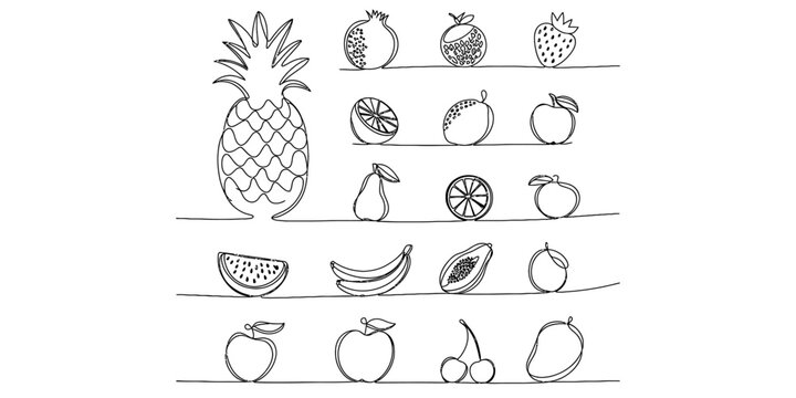 A collection of various fruits illustrated in a simple black and white continuous line drawing Vector, illustration