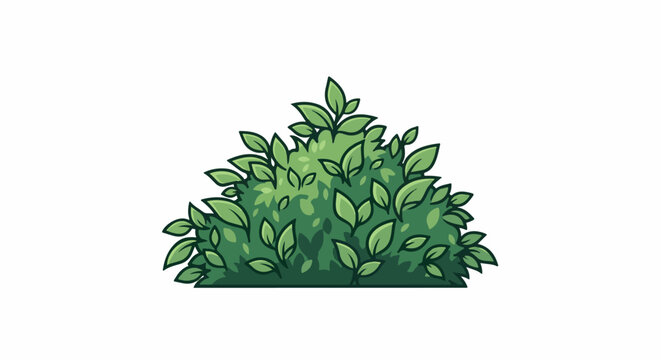 A green, bushy plant with many leaves and a dark outline