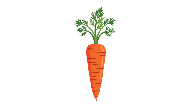 Detailed flat illustration of a fresh orange carrot with vibrant green bushy leaves isolated on a white background.