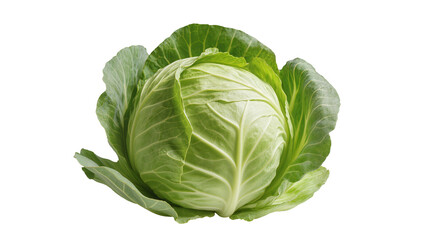 Obraz premium Fresh green cabbage with crisp leaves, isolated on transparent background