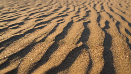 Fototapeta premium Sand dunes display natural wavy patterns in desert landscape environment