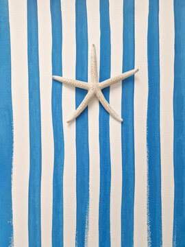 A white starfish against a turquoise and white painted stripes background.