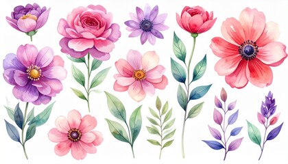 Fototapeta premium Aquarell-Blumenillustrationen mit Blüten und Blättern in Rosa, Lila, Rot und Grün – florales Set