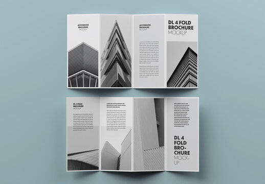 Accordion DL Fold Brochure Mockup